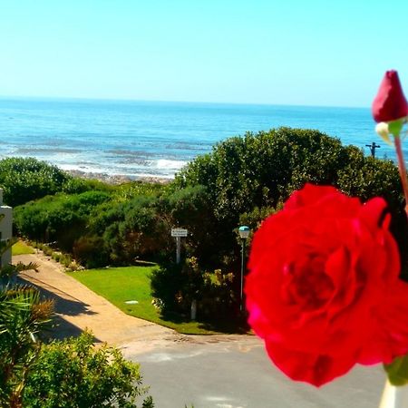Belle Vue Guesthouse Hermanus Buitenkant foto