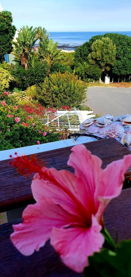 Belle Vue Guesthouse Hermanus Buitenkant foto