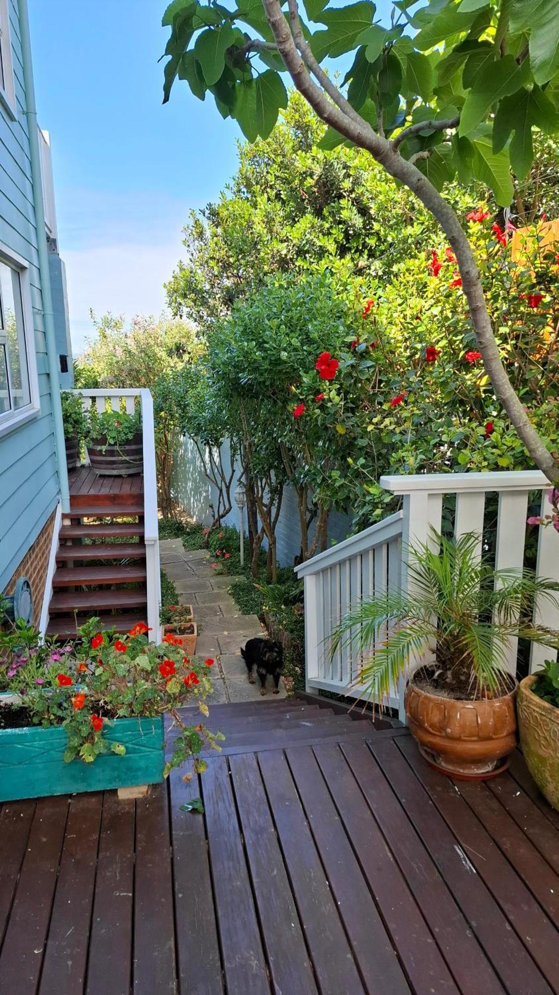Belle Vue Guesthouse Hermanus Buitenkant foto