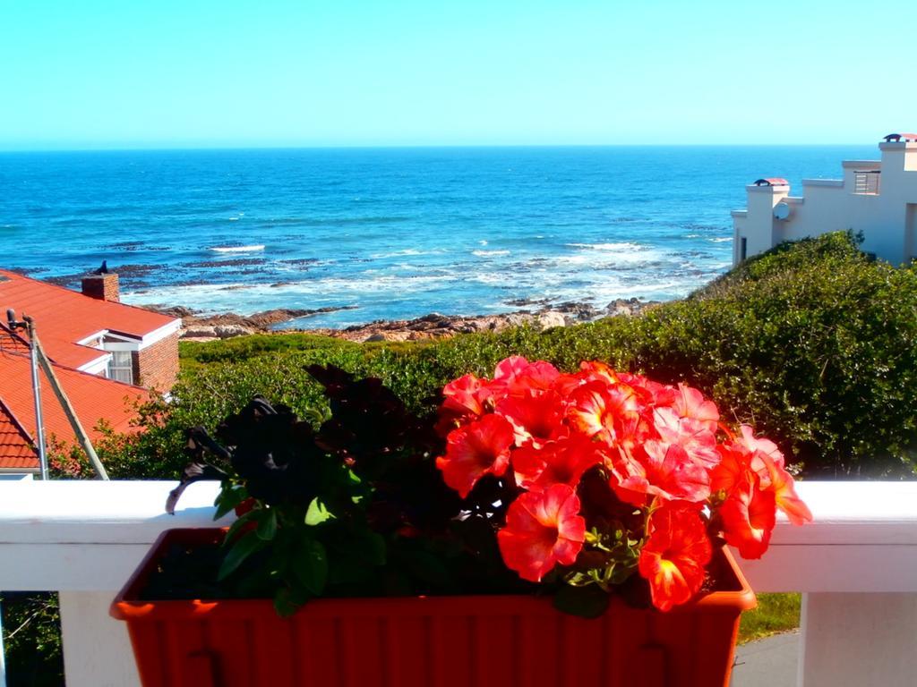Belle Vue Guesthouse Hermanus Buitenkant foto