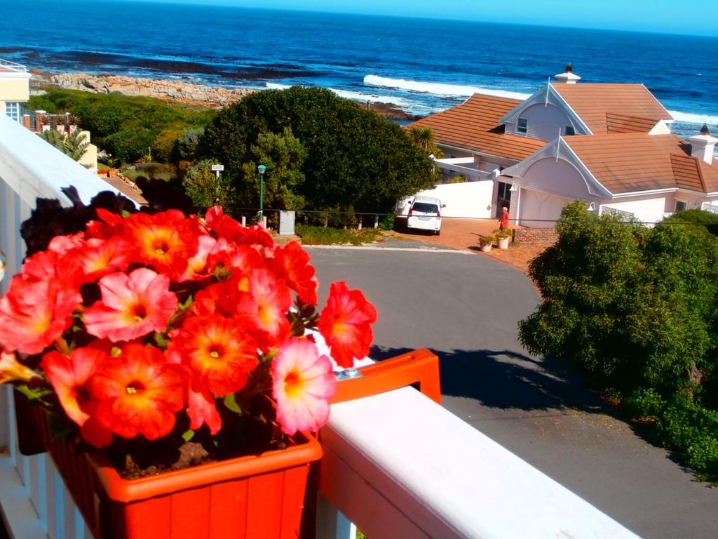 Belle Vue Guesthouse Hermanus Buitenkant foto