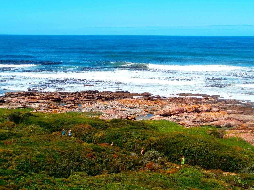 Belle Vue Guesthouse Hermanus Buitenkant foto