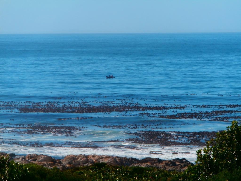 Belle Vue Guesthouse Hermanus Buitenkant foto