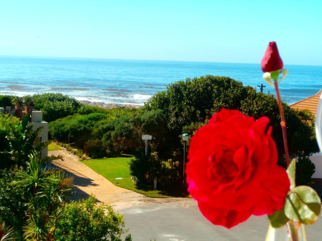 Belle Vue Guesthouse Hermanus Buitenkant foto