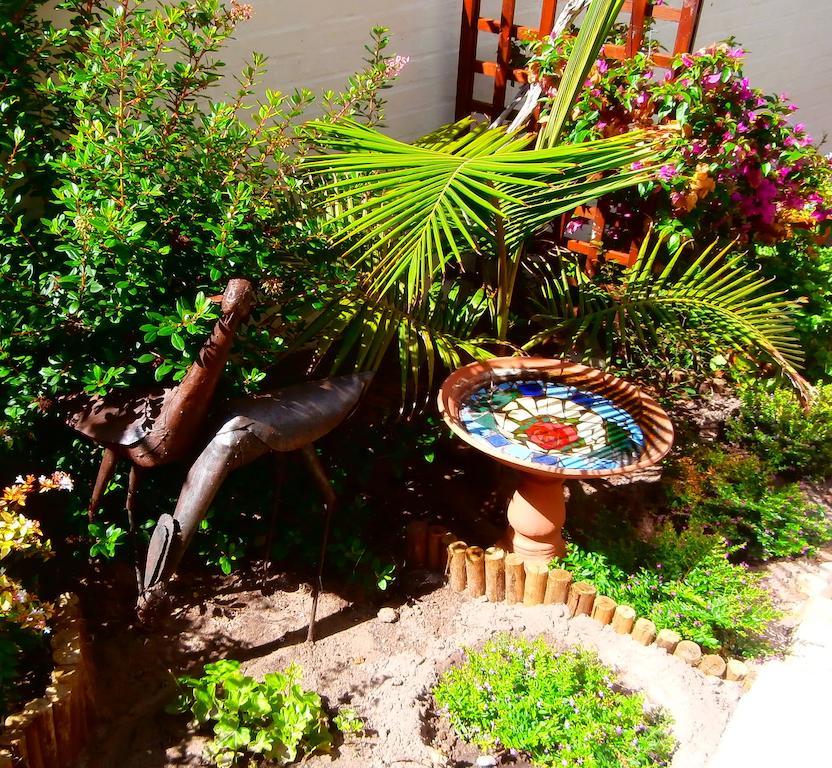 Belle Vue Guesthouse Hermanus Buitenkant foto