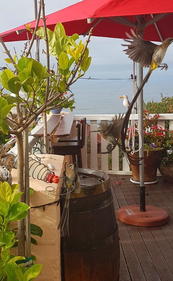 Belle Vue Guesthouse Hermanus Buitenkant foto